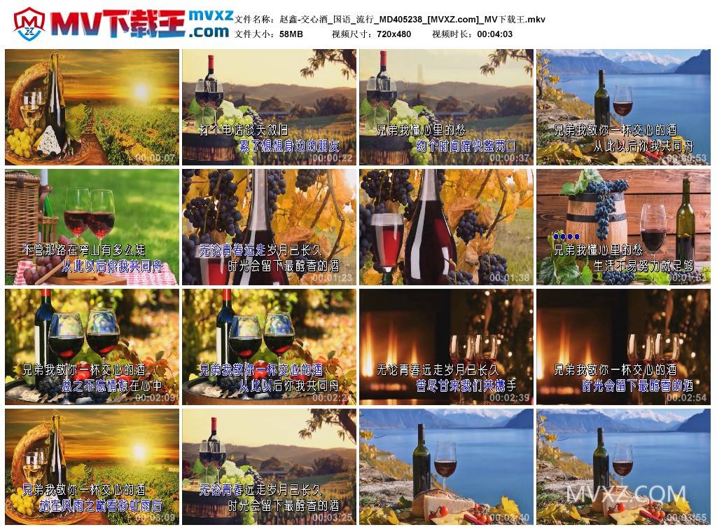 赵鑫-交心酒_国语_流行_MD405238